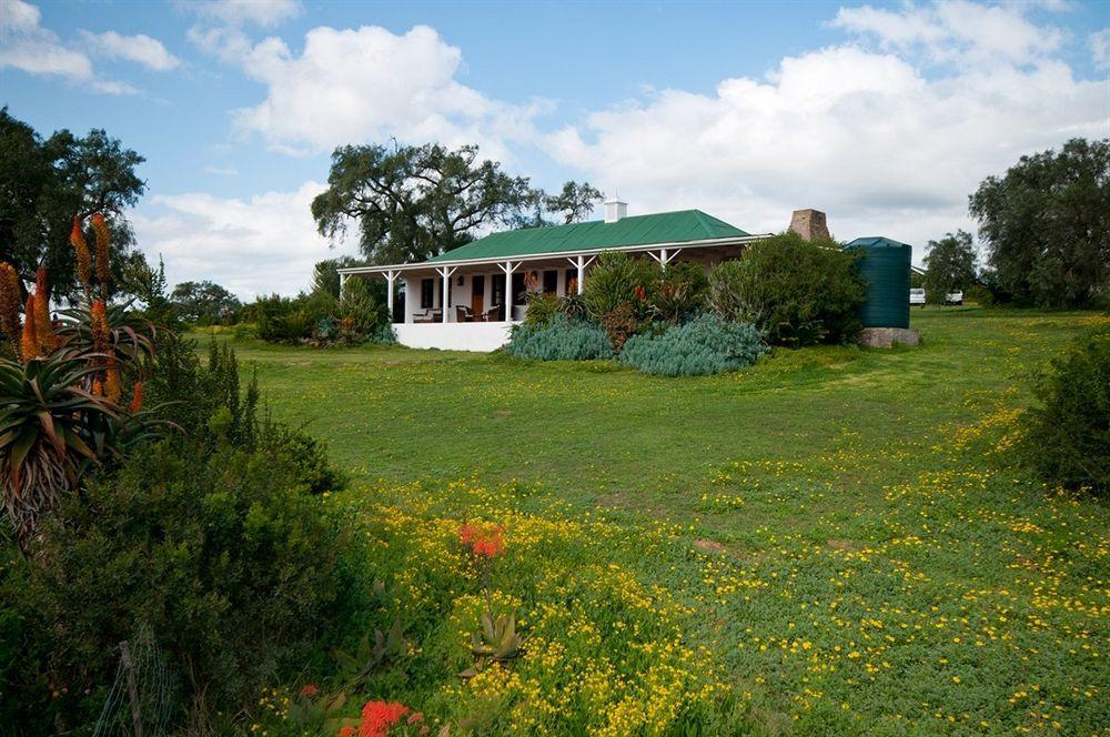 Maison d'hôtes Leeuwenbosch Country House - Réserve animalière d'Amakhala Extérieur photo