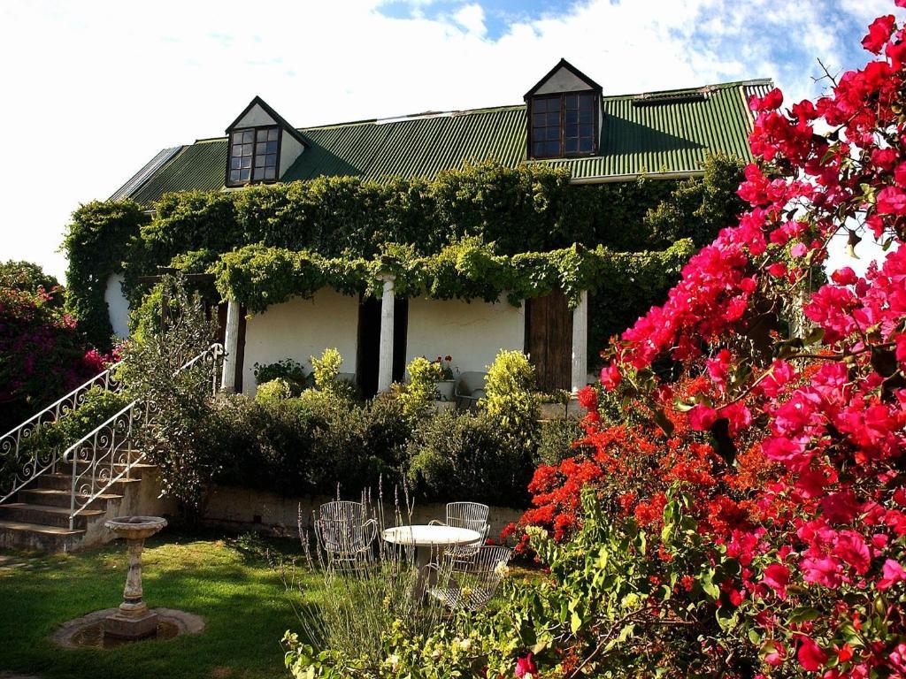 Maison d'hôtes Leeuwenbosch Country House - Réserve animalière d'Amakhala Extérieur photo