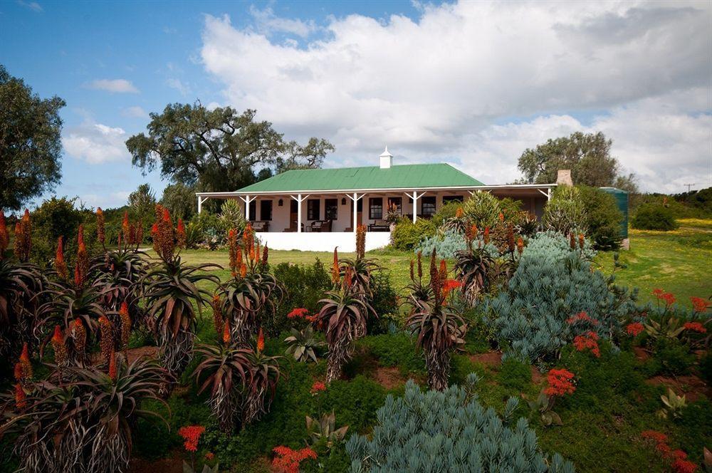 Maison d'hôtes Leeuwenbosch Country House - Réserve animalière d'Amakhala Extérieur photo