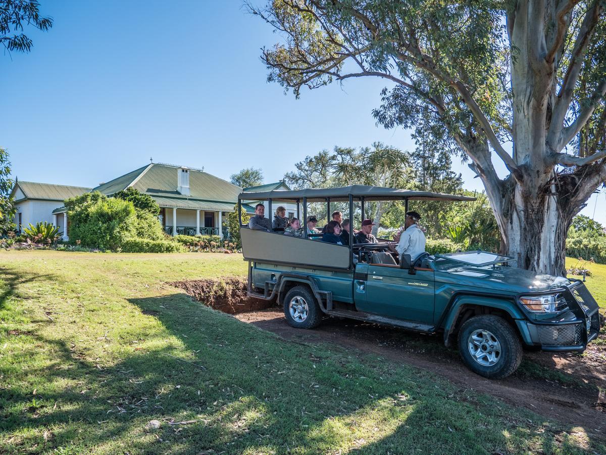 Maison d'hôtes Leeuwenbosch Country House - Réserve animalière d'Amakhala Extérieur photo