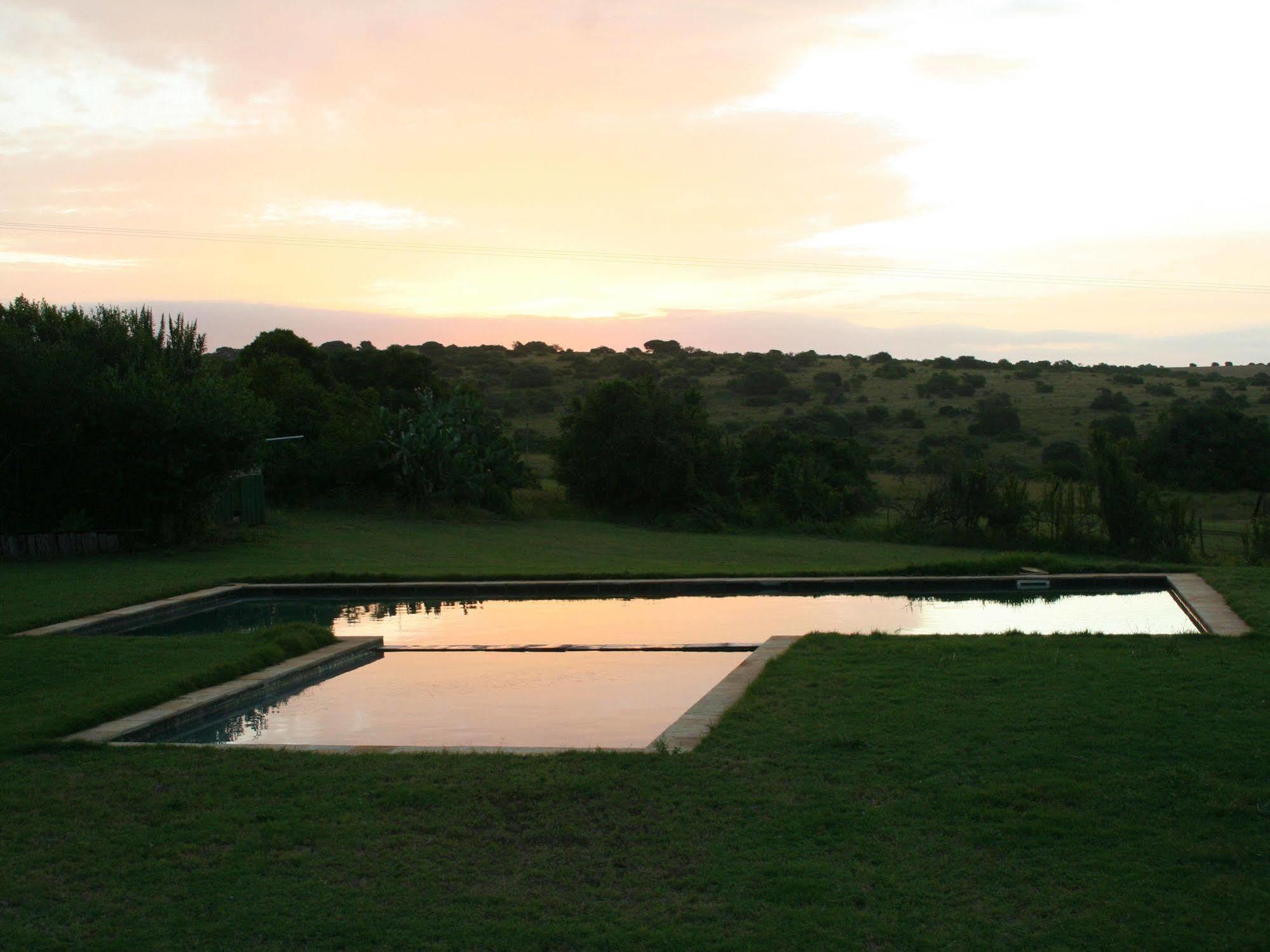 Maison d'hôtes Leeuwenbosch Country House - Réserve animalière d'Amakhala Extérieur photo